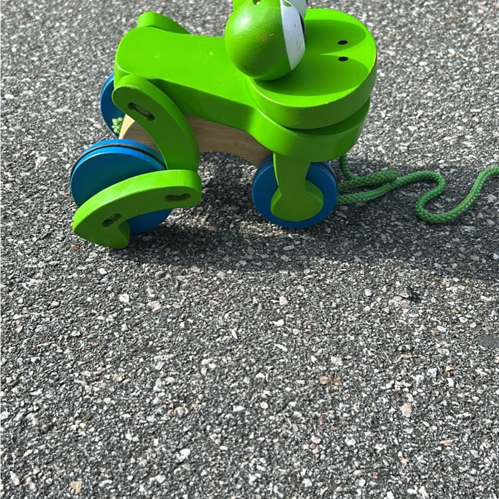 Melissa & Doug Green and Blue Pull-Along Frog